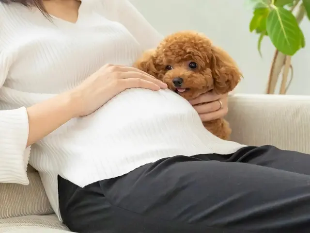 ペットシッター歴7年/獣医師、動物看護師在籍/連携病院有り/事前カウンセリングサービスの画像