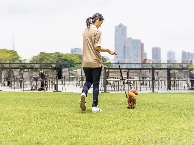 ペットシッター歴7年/獣医師、動物看護師在籍/連携病院有り/事前カウンセリングサービスの画像