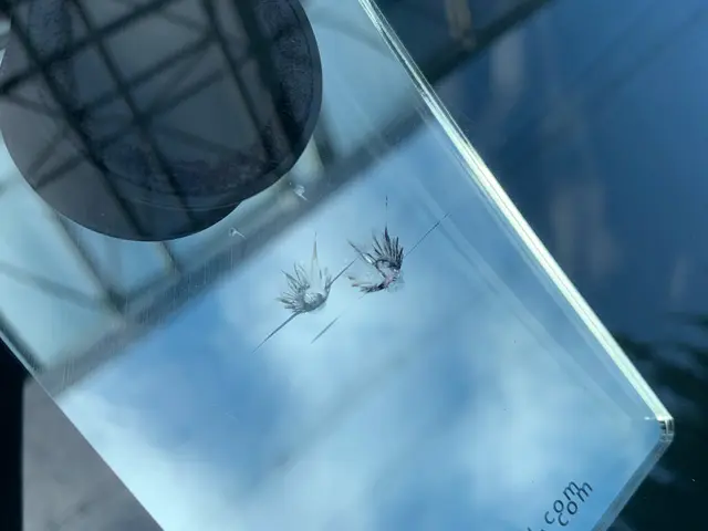 ◆ウインドリペア出張施工◎年中無休◎地域密着店◎営業時間外も対応可能サービスの画像