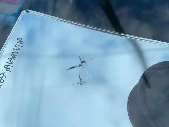 ◆ウインドリペア出張施工◎年中無休◎地域密着店◎営業時間外も対応可能サービスの画像