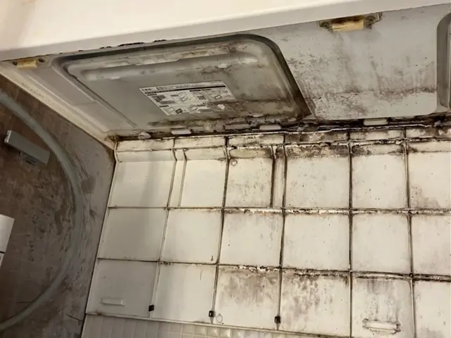 セットがお得！カビも水アカも徹底除去！サービスの画像