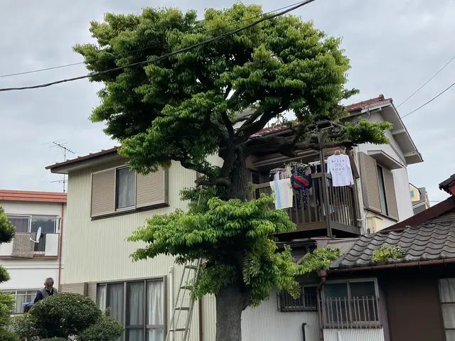 《創業60年の経験実績》ご予約の空きが空いていなくても1度ご連絡ください。サービスの画像