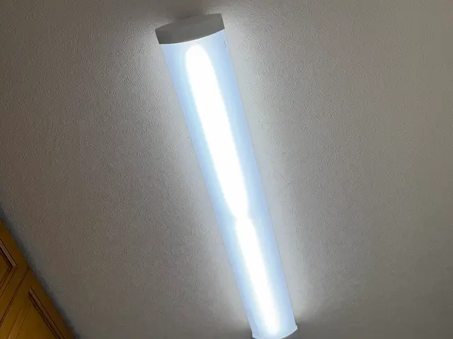 シーリングライト取付。時間指定不可です（終日便、前日連絡サービスの画像