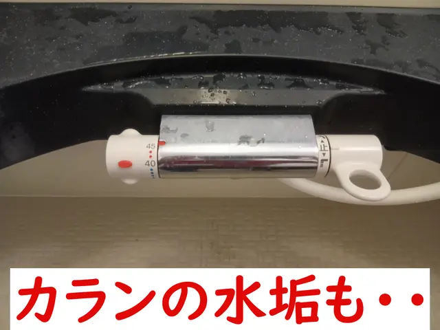 【10%オフキャンペーン！】しつこい水垢も鏡のウロコもピカピカに！サービスの画像