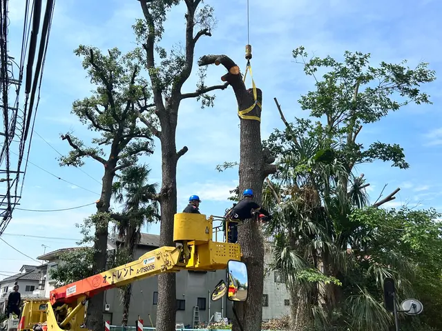 ※特別価格※2月10日までサービスの画像
