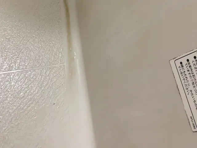 《女性スタッフ》大手ハウスクリーニング社で経験ありのスタッフがお伺いしますサービスの画像