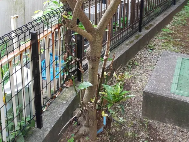 【業界歴２３年と１３年のコンビネーション】☆損害保険加入済み3億円まで対応で安心サービスの画像