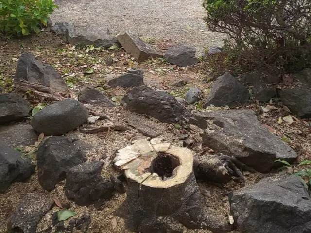 【業界歴２３年と１３年のコンビネーション】☆損害保険加入済み3億円まで対応で安心サービスの画像