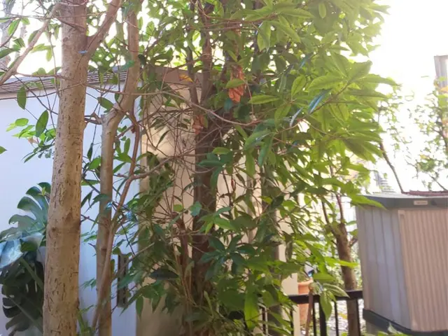 【業界歴２３年と１３年のコンビネーション】☆損害保険加入済み3億円まで対応で安心サービスの画像