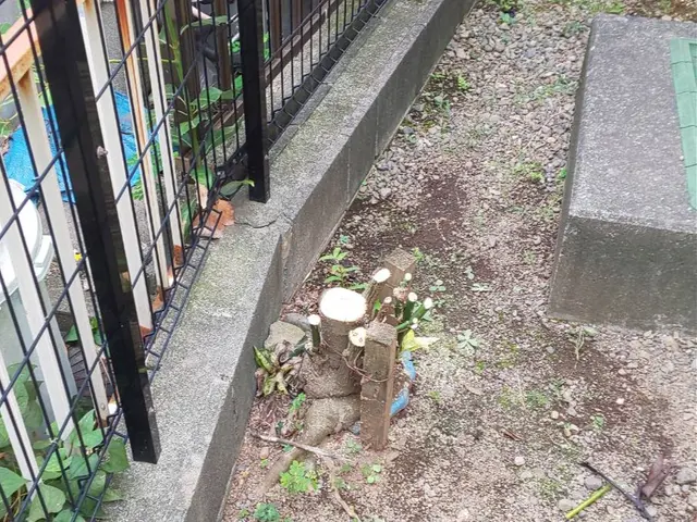 【業界歴２３年と１３年のコンビネーション】☆損害保険加入済み3億円まで対応で安心サービスの画像