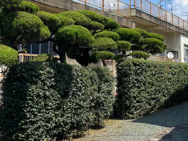 時間外対応　自分の物を大切にするようにお客様の立場になって仕事をさせてもらいますサービスの画像