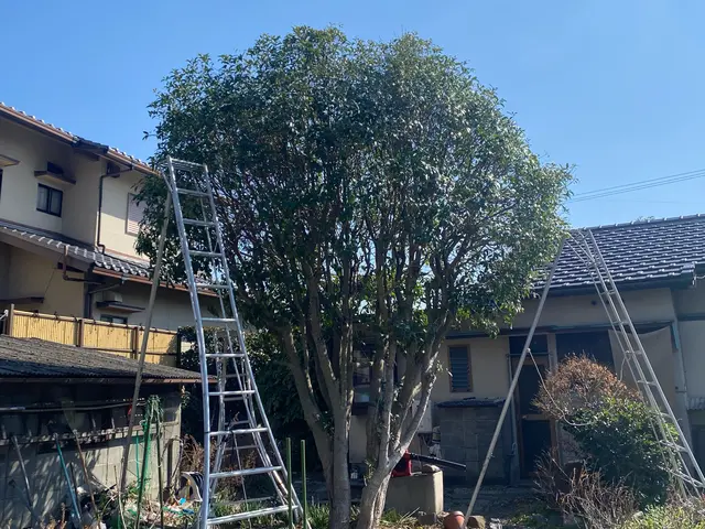 時間外対応　自分の物を大切にするようにお客様の立場になって仕事をさせてもらいますサービスの画像