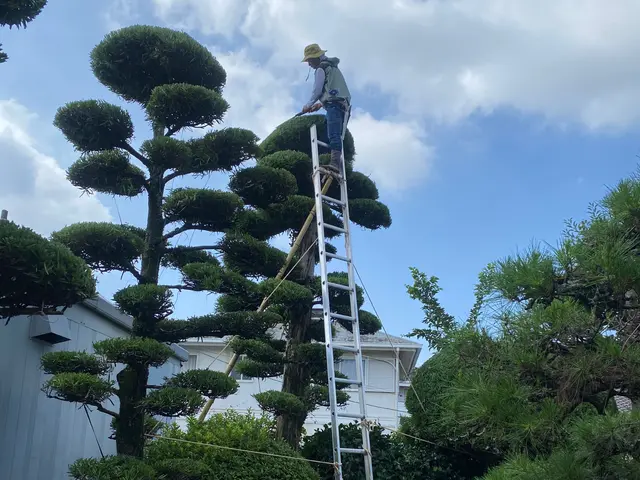 時間外対応　自分の物を大切にするようにお客様の立場になって仕事をさせてもらいますサービスの画像