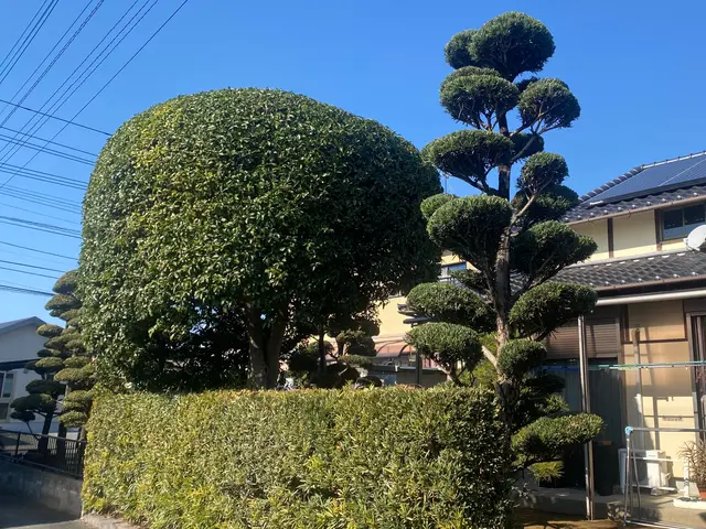 時間外対応　自分の物を大切にするようにお客様の立場になって仕事をさせてもらいますサービスの画像
