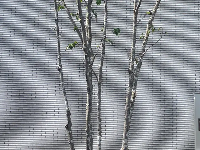 時間外対応　自分の物を大切にするようにお客様の立場になって仕事をさせてもらいますサービスの画像