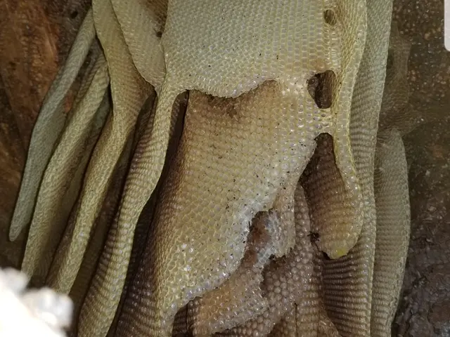 【店長のわたしが伺います！】お気軽にご相談ください！！サービスの画像