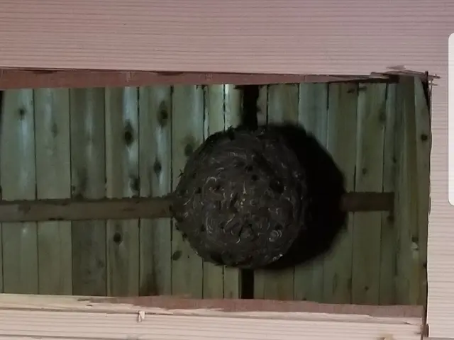 【店長のわたしが伺います！】お気軽にご相談ください！！サービスの画像