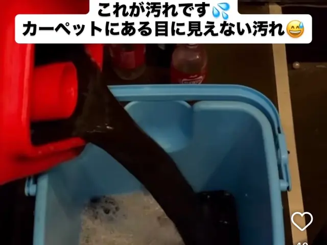 【カーペットクリーニング】飲食店や住宅の豊富な施工実績！将ちゃんにお任せ！サービスの画像