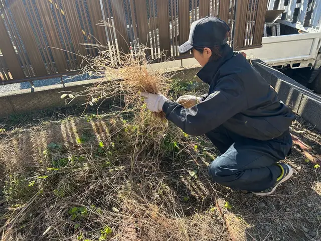 草刈り/免許を持つ！丁寧な対応と仕事を、確かな技術と安心価格で！サービスの画像
