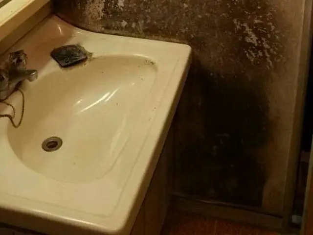 ☆★住まいに、格式ある輝きを──プレミアムハウスクリーニング☆★洗面所サービスの画像