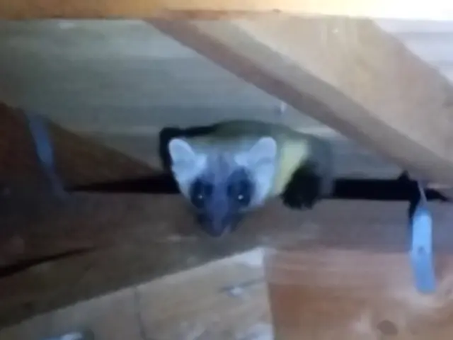 ☆猪名川町商工会所属☆  ◆業界実績15年◆   ※カードOK※サービスの画像