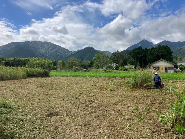 まずは「このサービスについて質問する」から写真ください。事前見積もりからさせてくサービスの画像
