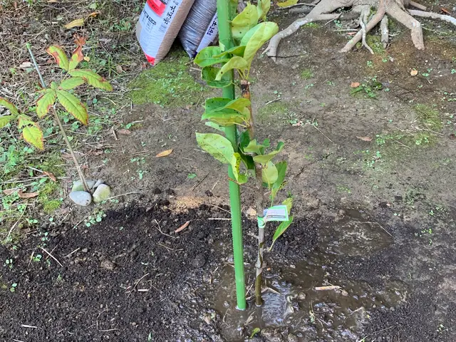 プロの技術でご満足いただけるように心を込めて作業いたしますサービスの画像