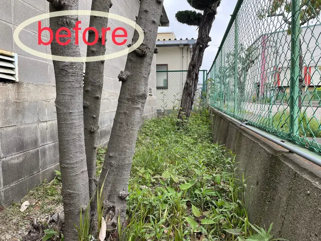 ◇空き家◇空き地◇お庭等　雑草でお困りの方、綺麗にいたしませんか。サービスの画像
