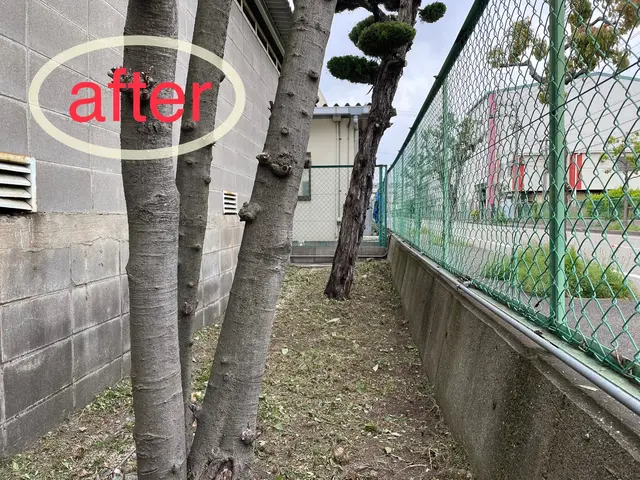 ◇空き家◇空き地◇お庭等　雑草でお困りの方、綺麗にいたしませんか。サービスの画像