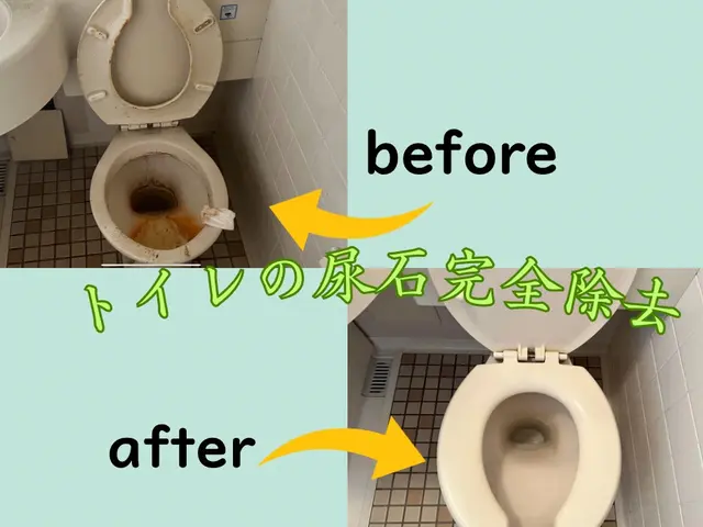 年間100件以上の実績！！【エコ洗剤どんな方にもおススメ】☆丁寧に隅々まで！サービスの画像