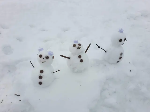 業界歴は10年以上☆プロゴルファーなので冬は時間があります!力あるので除雪しますサービスの画像