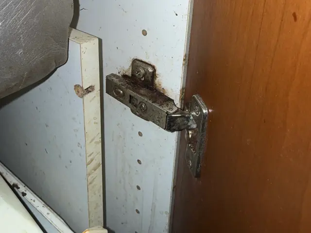 蝶番交換、調整、金物交換などお問い合わせ下さい。※穴補修は交換対応になります。サービスの画像