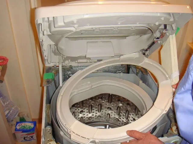 【枚方・交野 メイン】カビや菌を徹底撃退！ピッカピカに仕上げます！サービスの画像