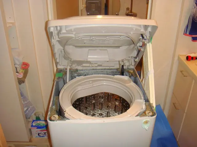 【枚方・交野 メイン】カビや菌を徹底撃退！ピッカピカに仕上げます！サービスの画像