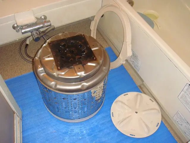 【枚方・交野 メイン】カビや菌を徹底撃退！ピッカピカに仕上げます！サービスの画像