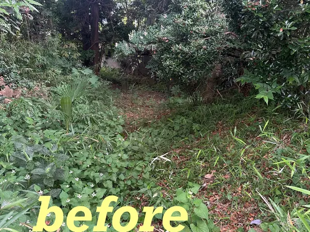 ★12月末まで、1,000円引き！単価10,000円→9,000円！！！★サービスの画像