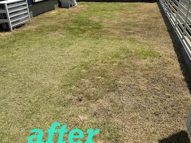 ★12月末まで、1,000円引き！単価10,000円→9,000円！！！★サービスの画像