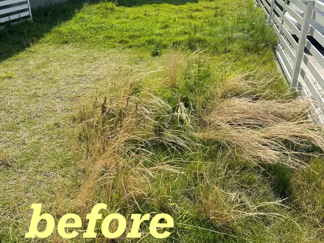 ★12月末まで、1,000円引き！単価10,000円→9,000円！！！★サービスの画像