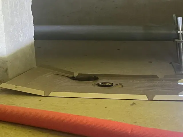 【害獣レスキュー24】◎誠実駆除◎安心と清潔をお届けするプロの訪問サービスサービスの画像