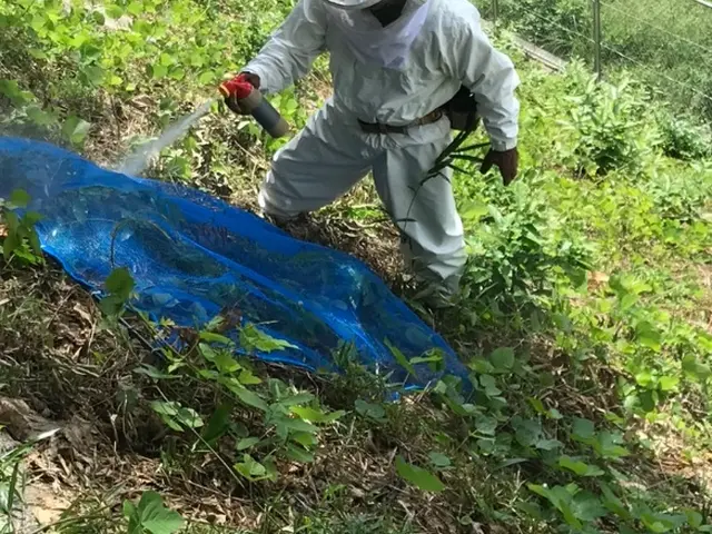 2025アシナガとスズメバチキャンペーン実施中！熟練の職人が対応します。サービスの画像