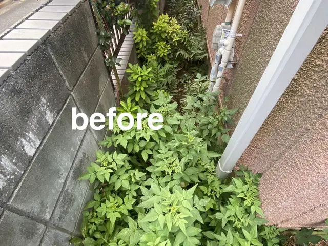 空き家・空き地はお任せ下さい！不動産管理者の安心草刈りサービスサービスの画像