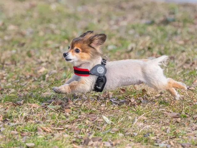 【出張撮影】自然な表情を逃さないプロカメラマン｜ご自宅・屋外対応