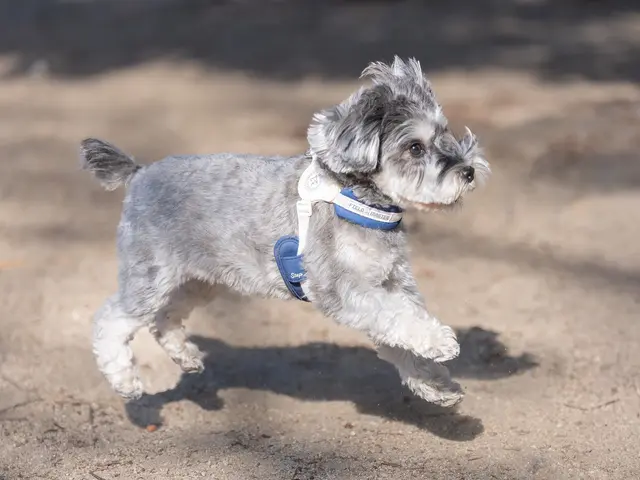 【出張撮影】自然な表情を逃さないプロカメラマン｜ご自宅・屋外対応