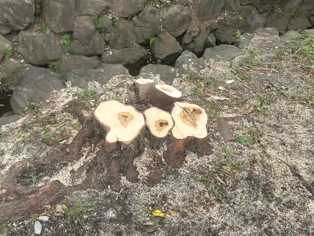 丁寧なコミュニケーションで、お客様の理想のお庭づくりをしっかりサポートします。サービスの画像