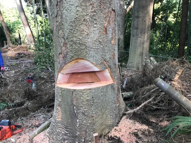 丁寧なコミュニケーションで、お客様の理想のお庭づくりをしっかりサポートします。サービスの画像