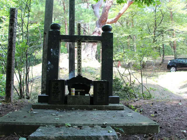 お墓参りを代行しますサービスの画像