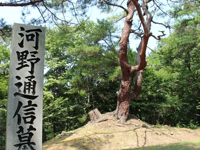 お墓参りを代行しますサービスの画像