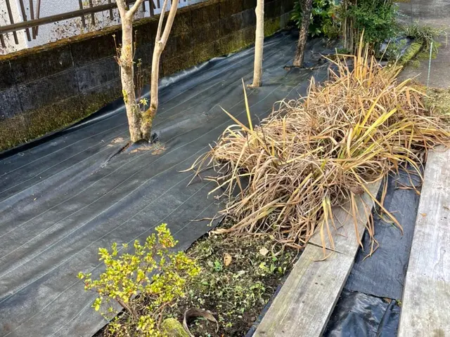 女性スタッフ同行可能！仕上がりにご不満の場合は無料で追加対応も行います◎サービスの画像