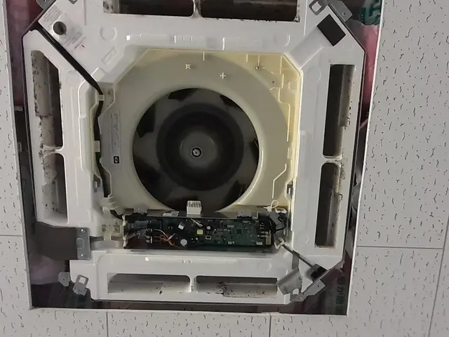 2点セットサービスの画像