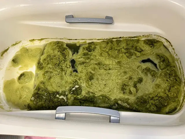 【風呂釜洗浄専門】確かな実績！FDA認可済の薬剤で風呂釜を徹底洗浄・除菌します！サービスの画像